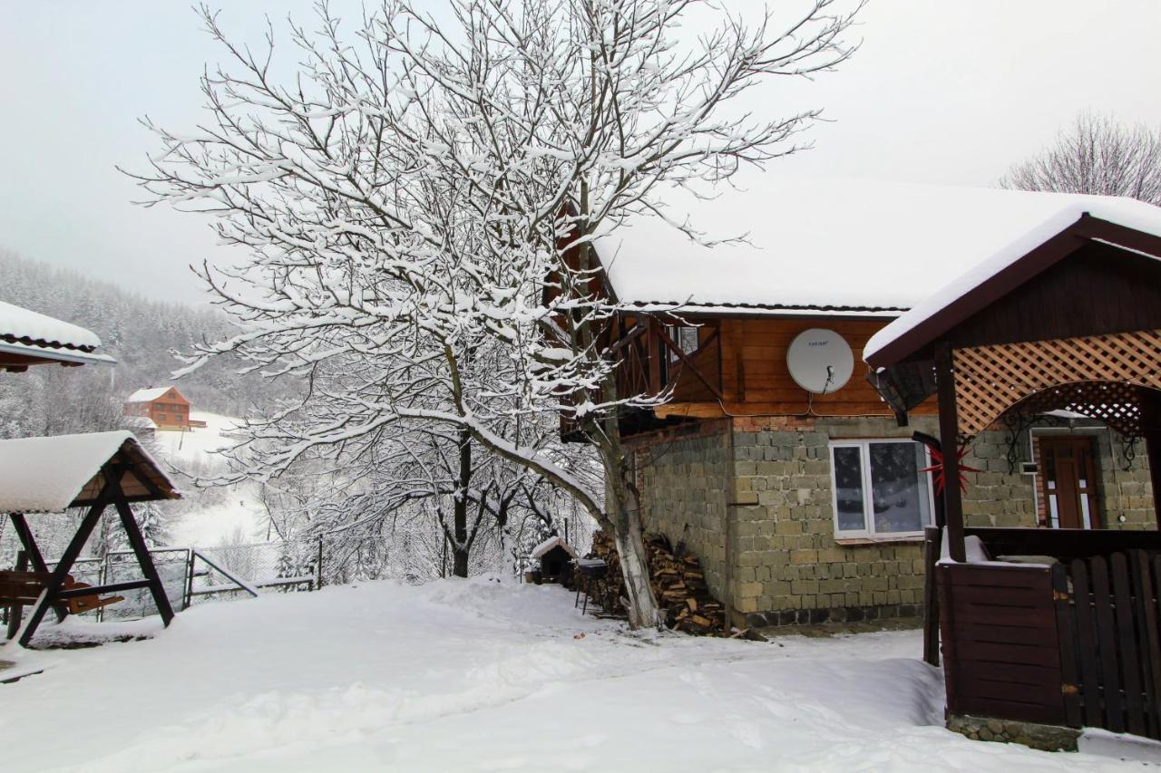 Багрівчанка Apartment Yaremche Exterior photo